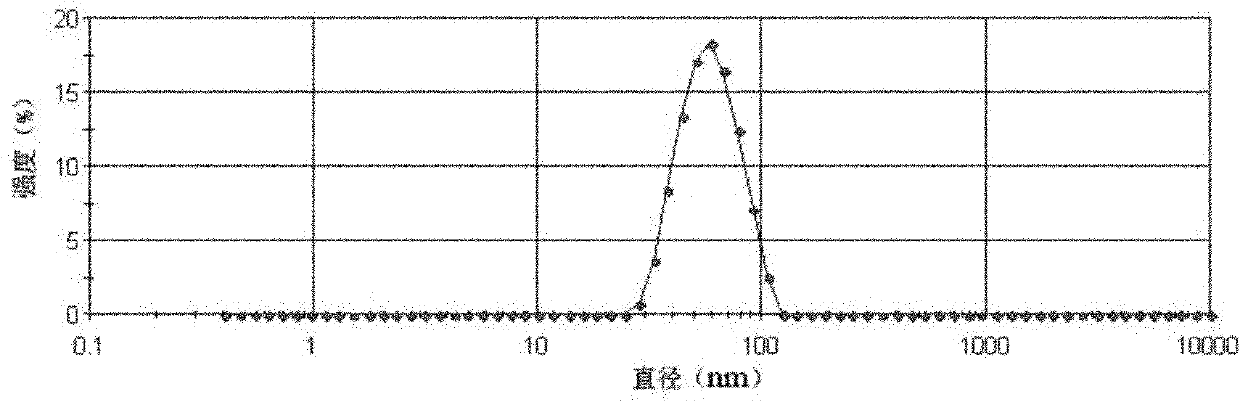 Amphipathic compound of curcumin derivates and polyoxyethylene as well as preparation method and application thereof