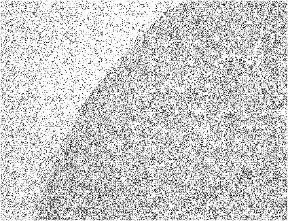 Amphipathic compound of curcumin derivates and polyoxyethylene as well as preparation method and application thereof