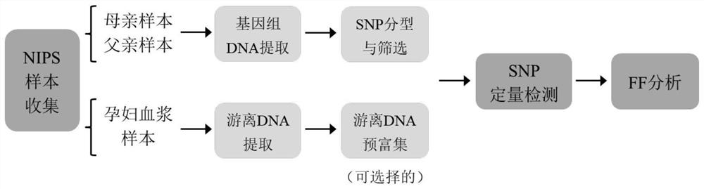 Method and kit for detecting existence or proportion of fetal free DNA in pregnant woman sample