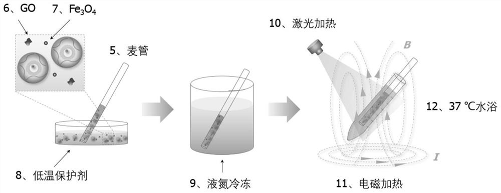 Method for cryopreservation and resuscitation of follicles