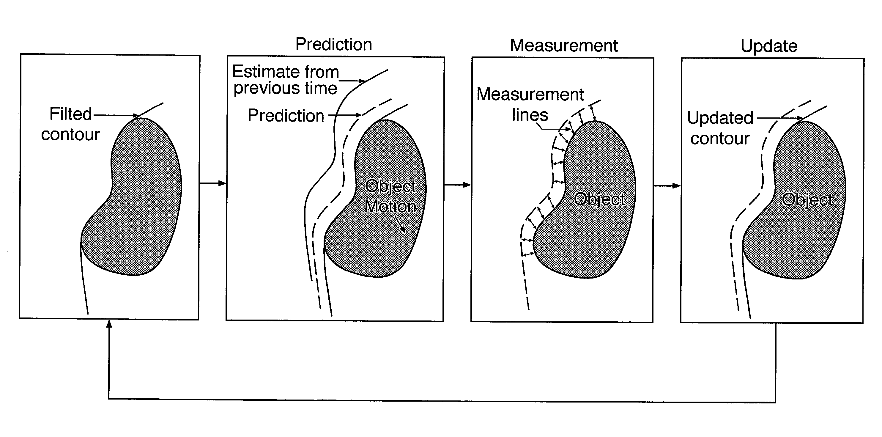 Non-rigid motion image analysis