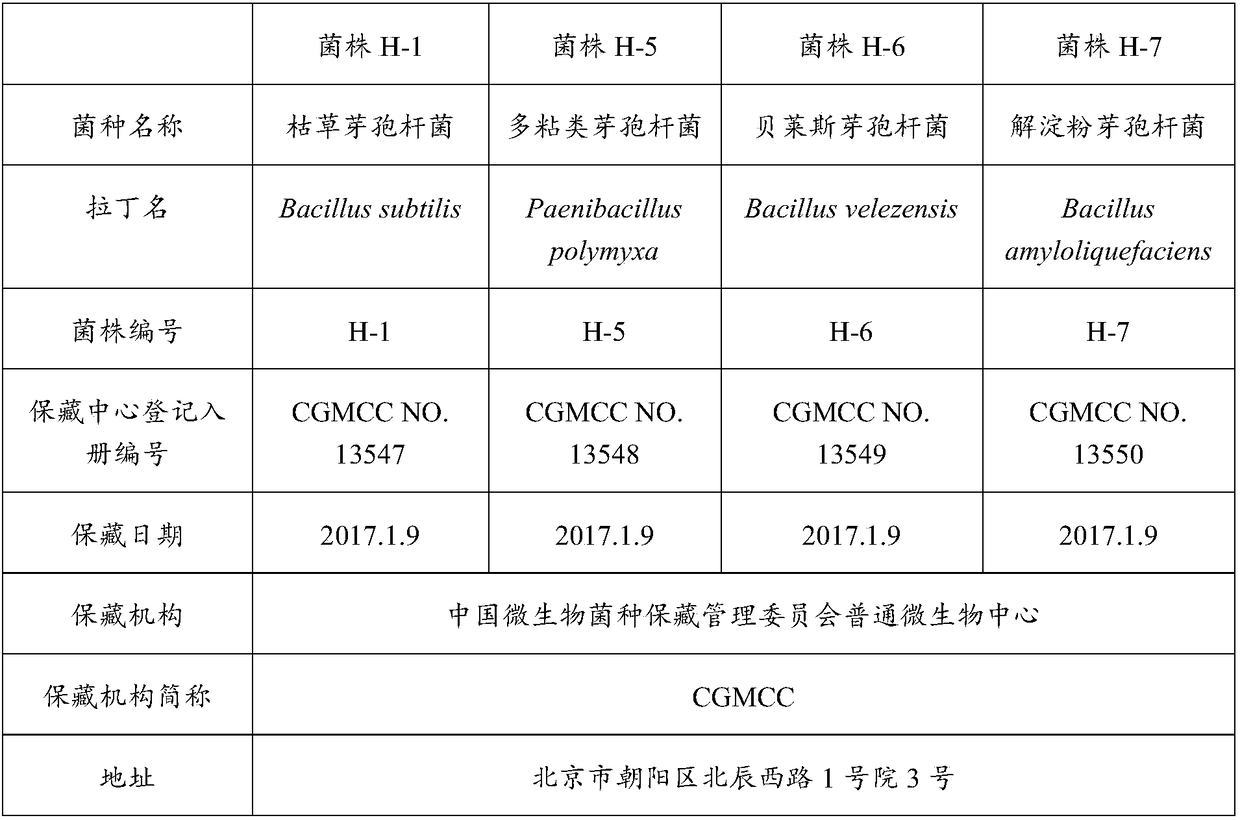 Biological control agent, bioorganic fertilizer, and applications thereof