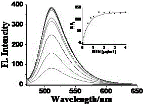 Two-photon fluorescence probe and application thereof in detecting anoxic-zone nitroreductase