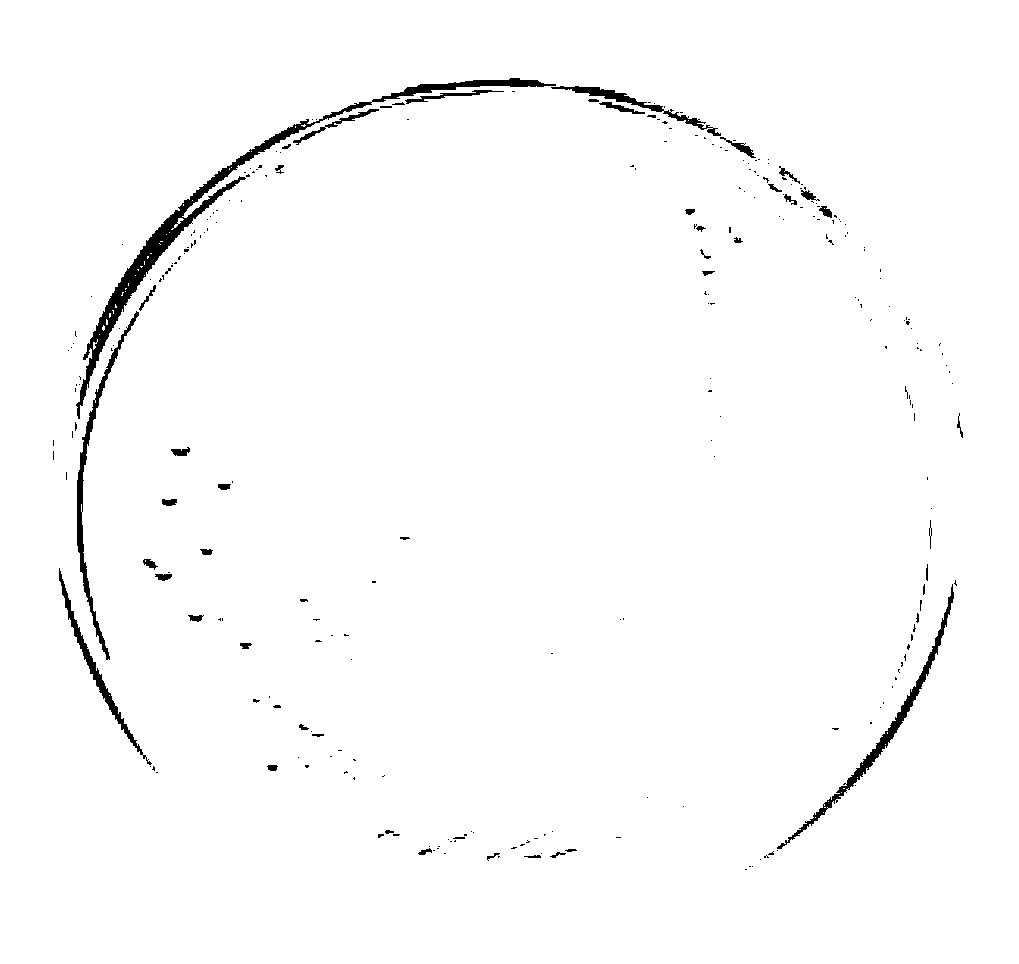 Lactobacillus rhamnosus and application thereof