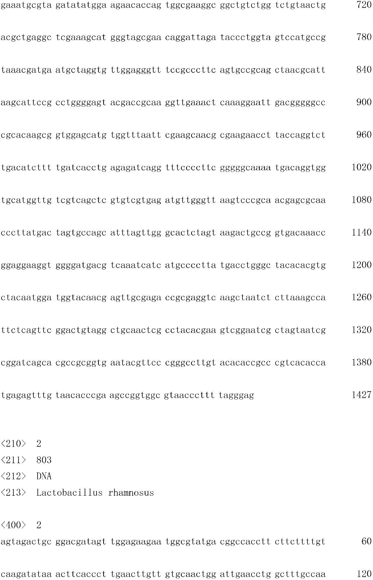 Lactobacillus rhamnosus and application thereof