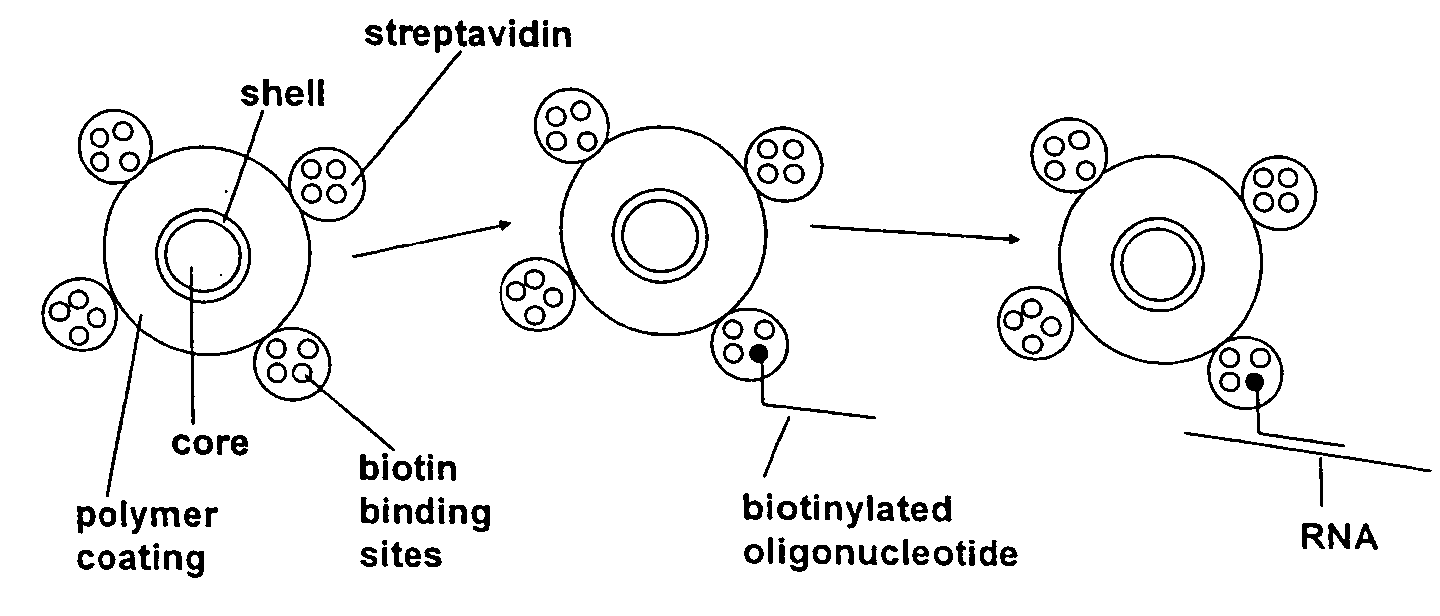 Methods and compositions relating to single reactive center reagents