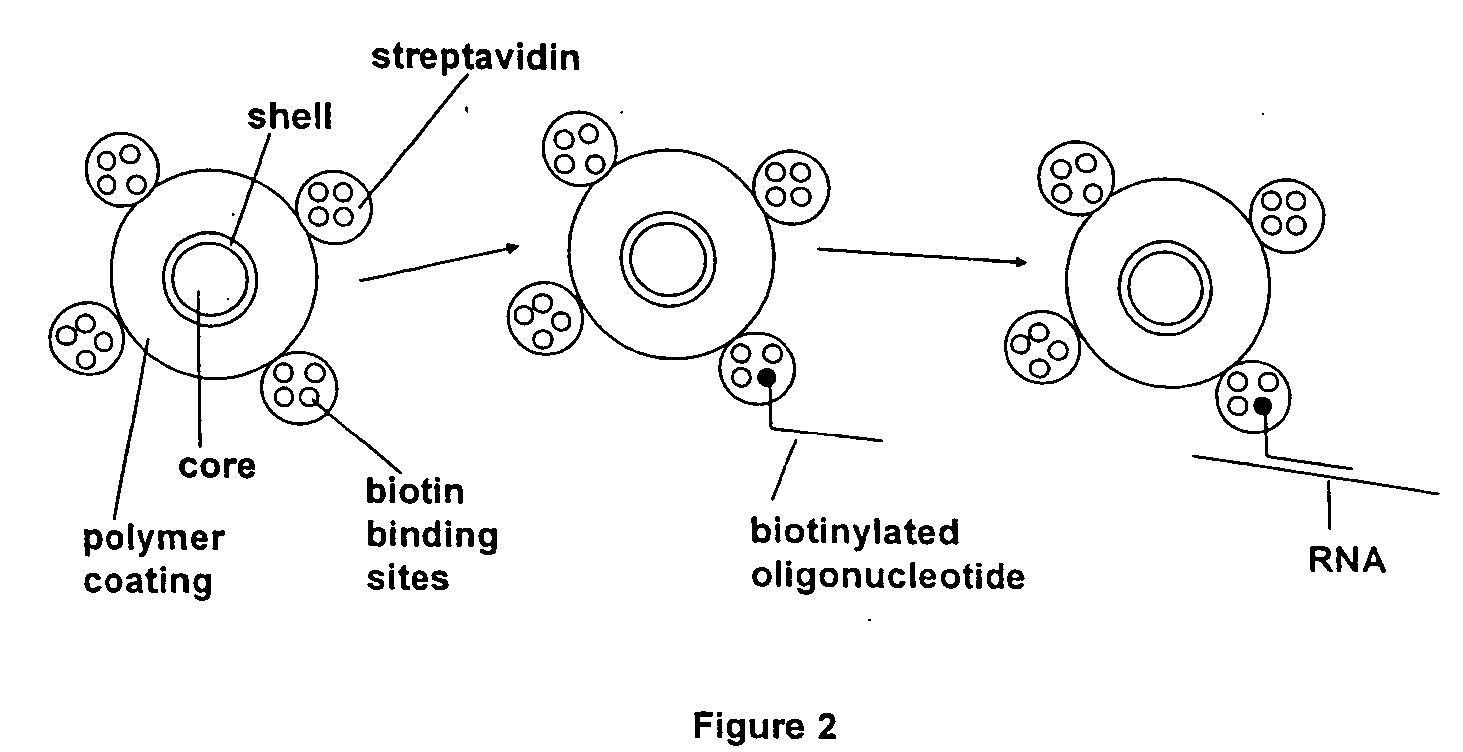 Methods and compositions relating to single reactive center reagents