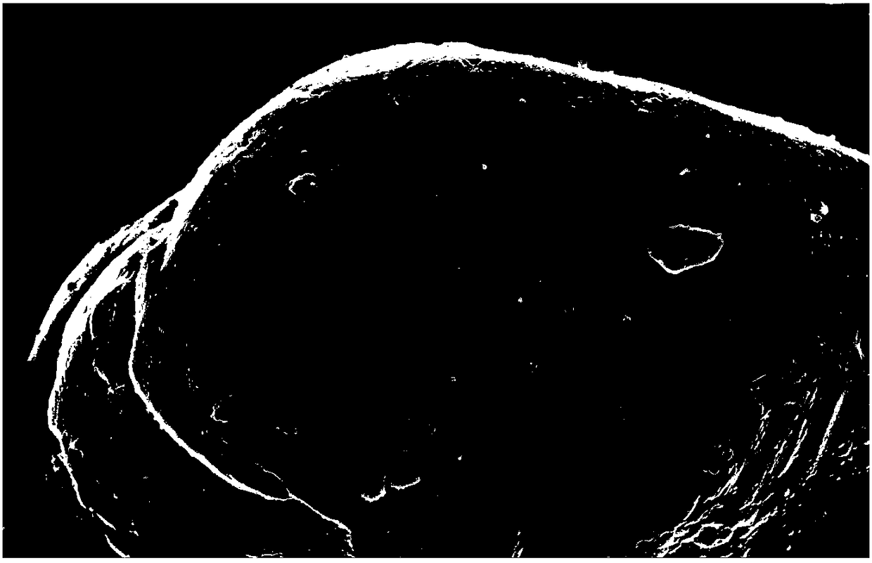 Positive electrode material and lithium ion battery