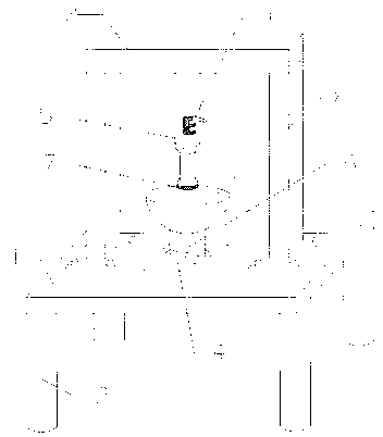 Anatomy device for soft-shelled turtle