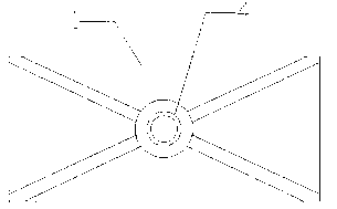 Anatomy device for soft-shelled turtle