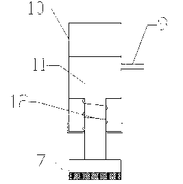 Anatomy device for soft-shelled turtle