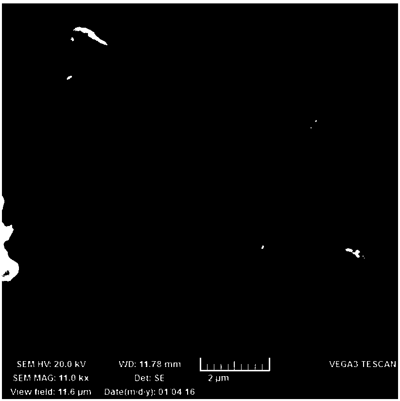 Bacterial strain of Bacillus spp. for high-efficient wide-spectrum decolorization and degradation of reactive dyes and application thereof