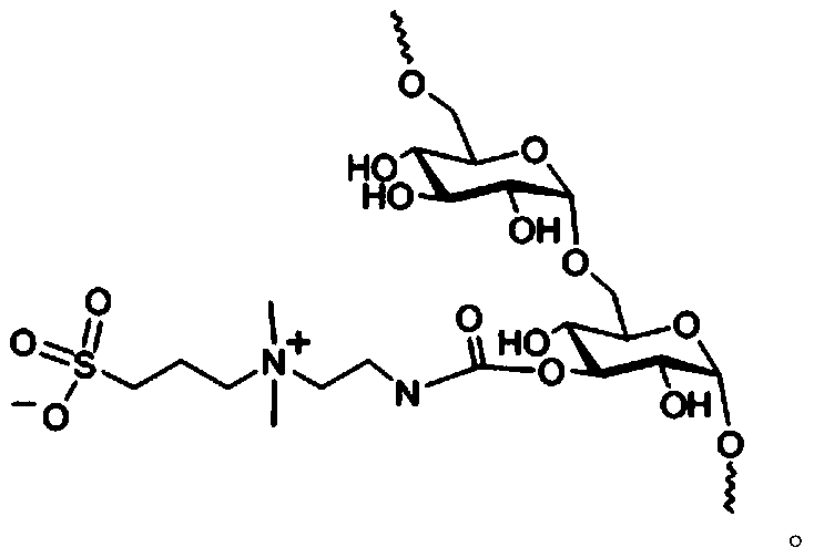 Amphoteric glucan hydrogel and application thereof