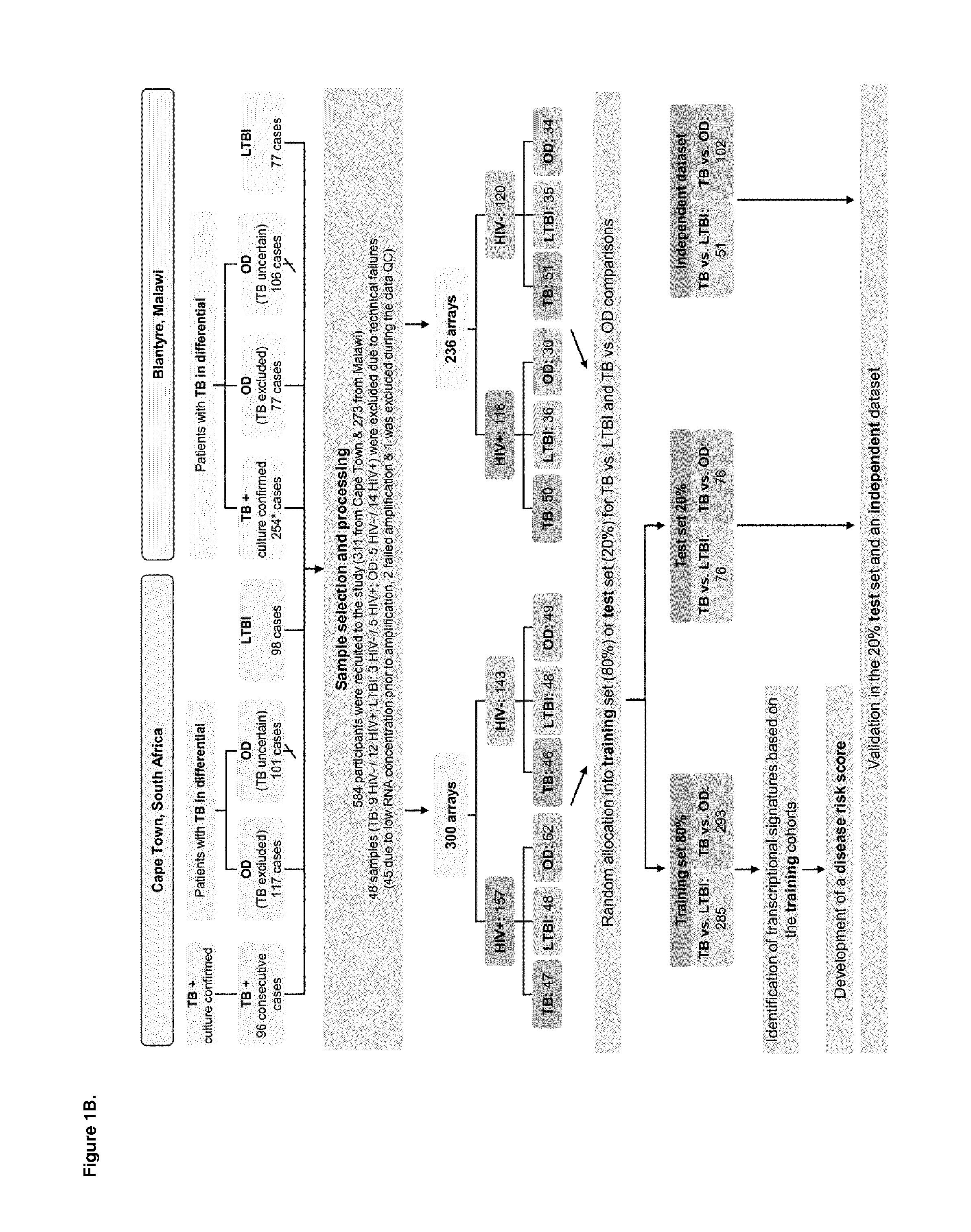 Diagnosis of active tuberculosis by determining the mRNA expression levels of marker genes in blood