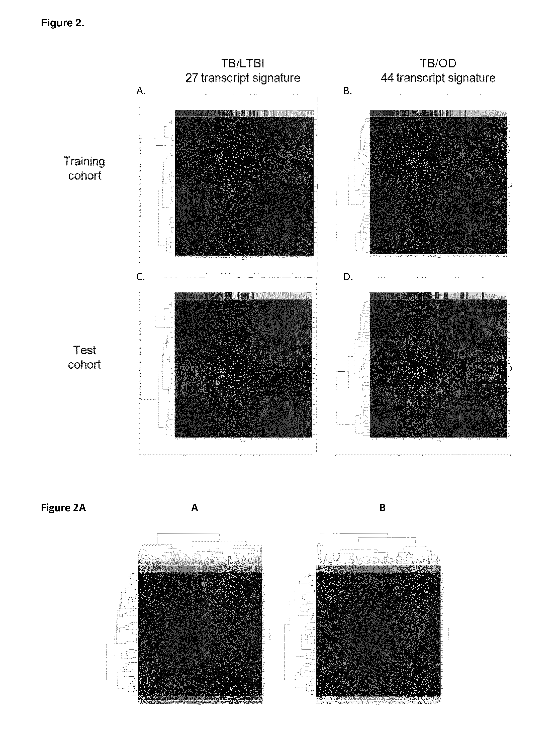 Diagnosis of active tuberculosis by determining the mRNA expression levels of marker genes in blood