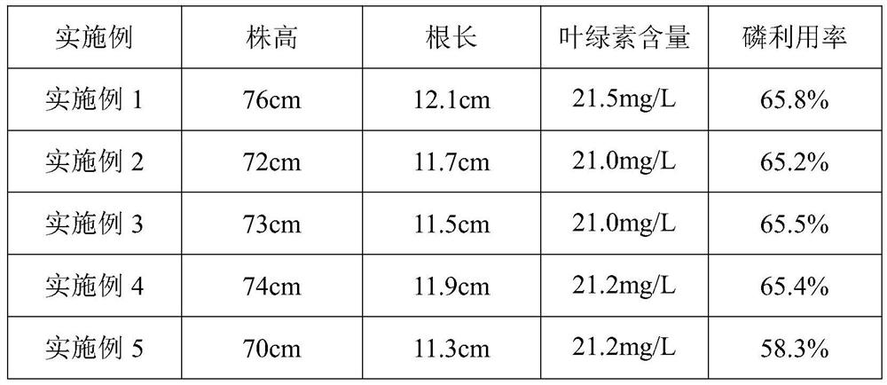 Cultivating fertilizer for promoting plant root growth and processing method thereof