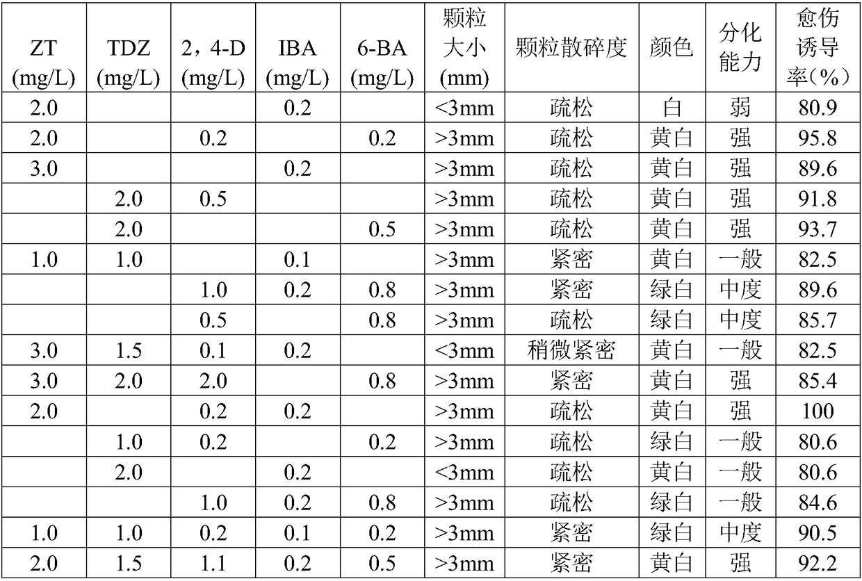 A kind of peach fruit callus culture medium and culture method thereof