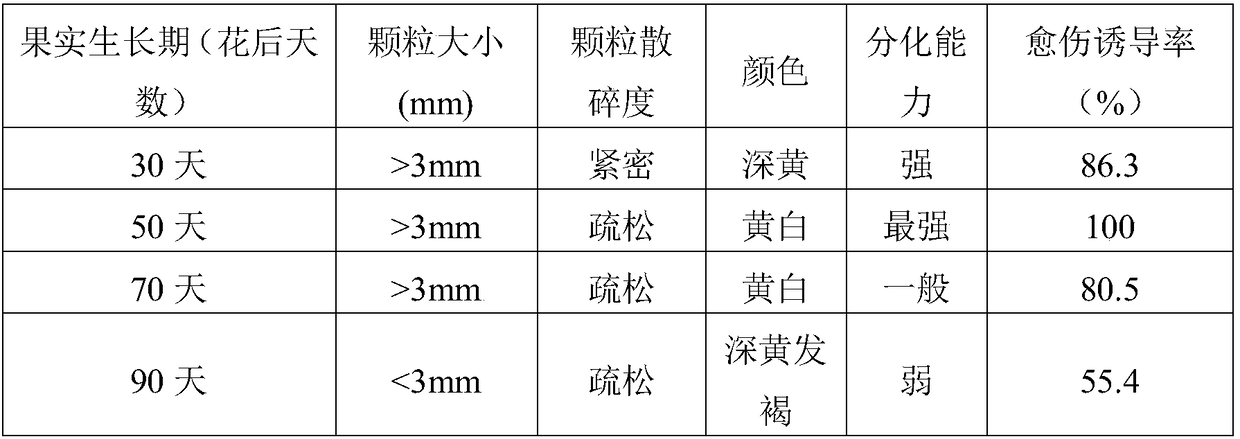 A kind of peach fruit callus culture medium and culture method thereof