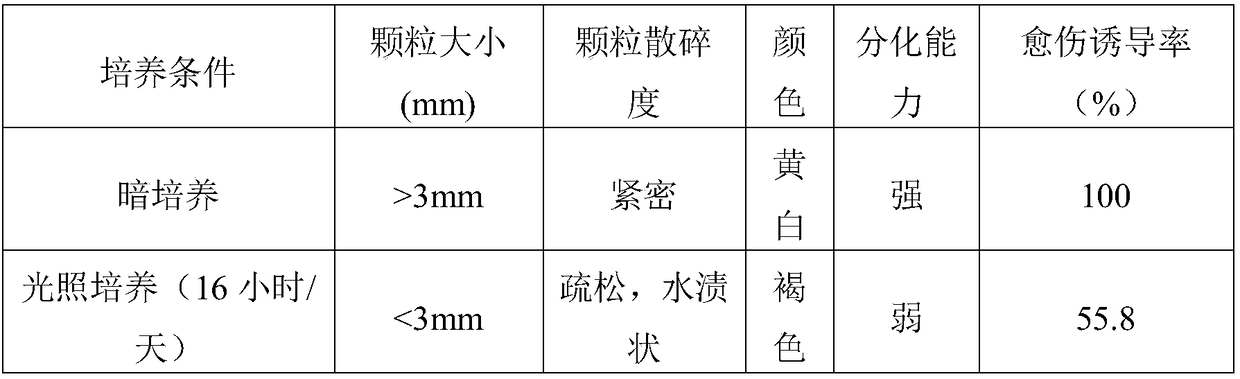 A kind of peach fruit callus culture medium and culture method thereof