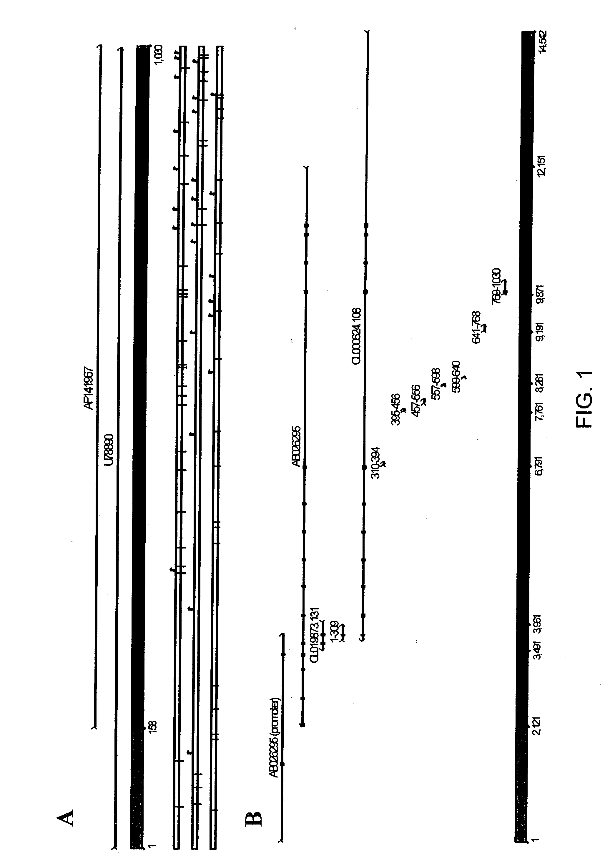 Regulatory sequences for expressing gene products in plant reproductive tissue