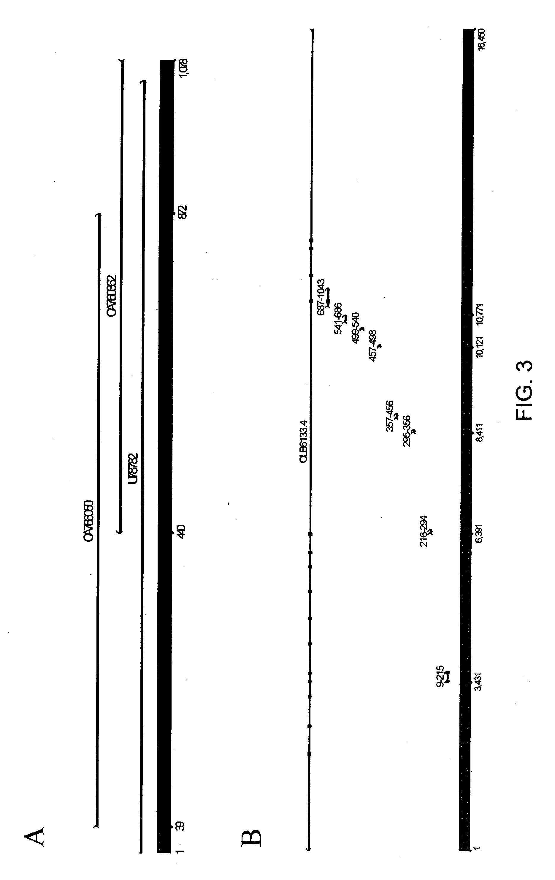 Regulatory sequences for expressing gene products in plant reproductive tissue