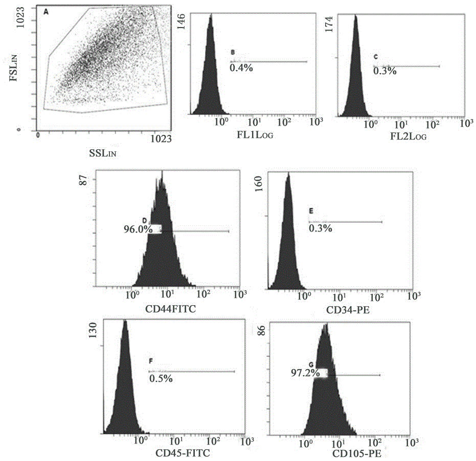 Method for acquiring safe and effective umbilical cord mesenchymal stem cell