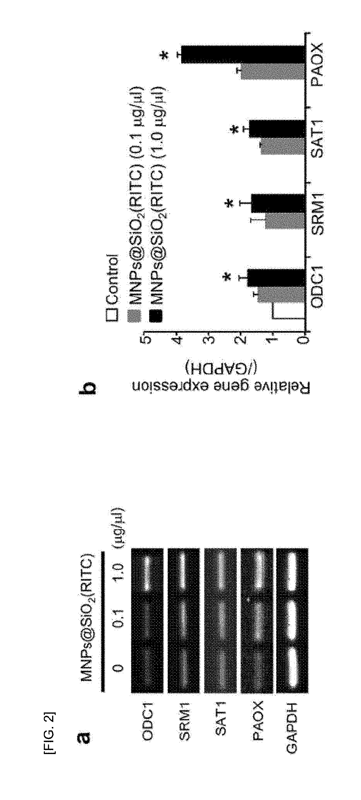 Nano-neurotoxicity bio-marker composition based on intracellular aggregates which are bio-markers of degenerative brain diseases