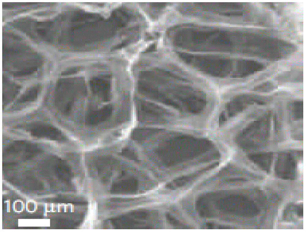 Carbon nanotube three-dimensional network architecture and polymer composite material thereof, and preparation methods thereof