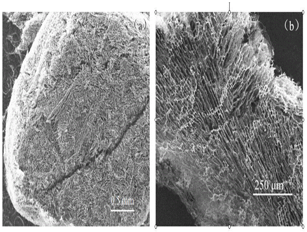 Carbon nanotube three-dimensional network architecture and polymer composite material thereof, and preparation methods thereof