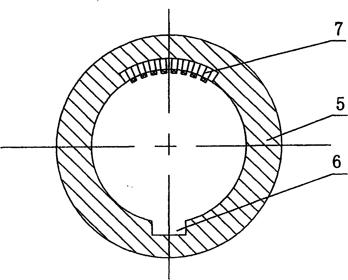 Insert shaft type hub electric motor and electric automobile