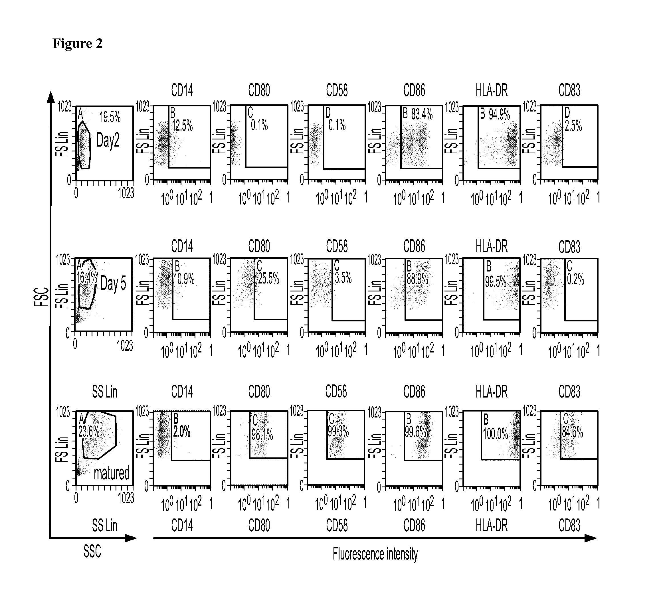 Methods and Compositions for Treating Malignancies with Dendritic Cells