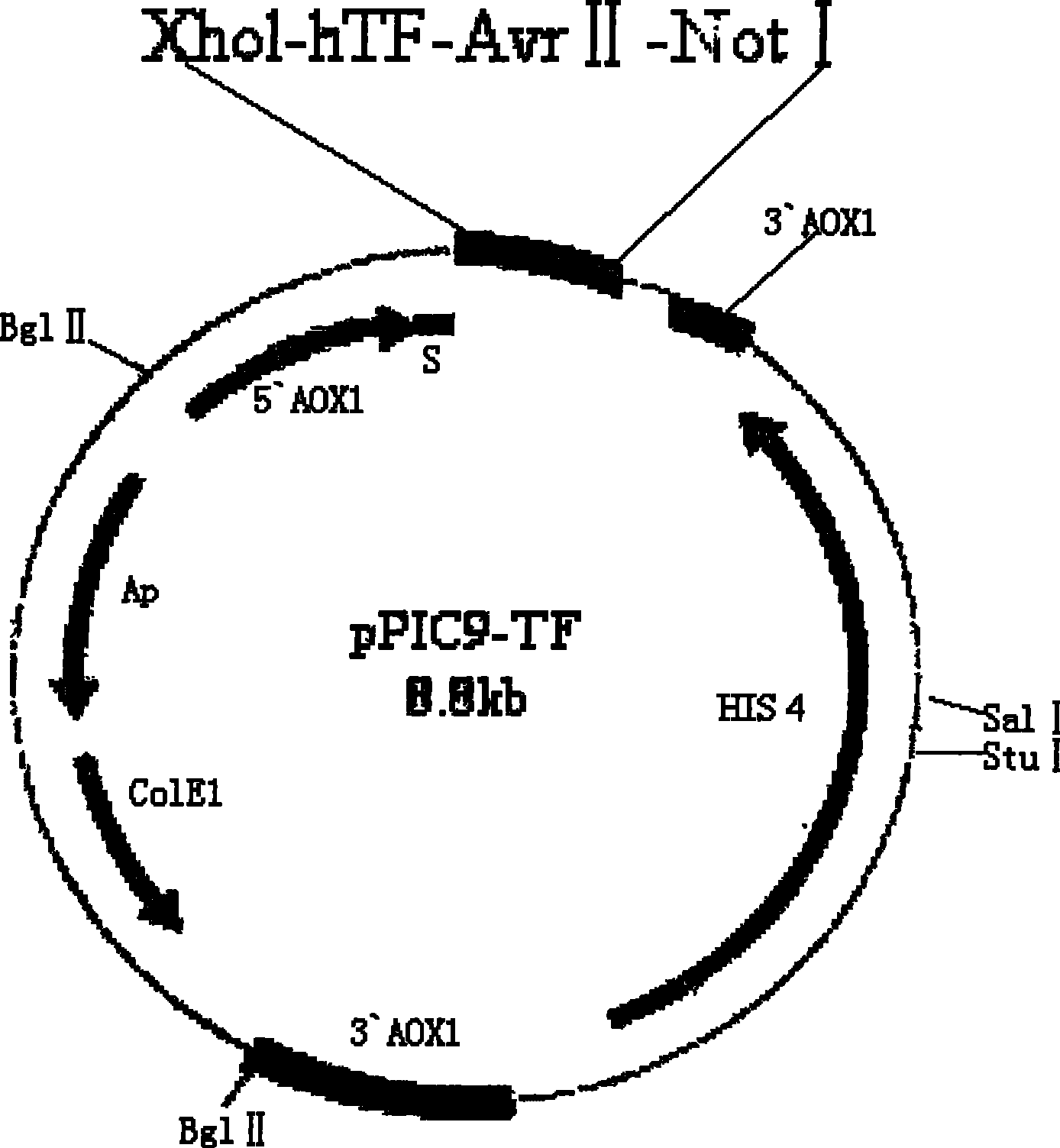 Method for preparing liquid type PT agent based on human recombinant thrombokinase