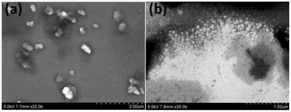 Water-sensitive fluorescent enhanced test paper and its preparation method and application