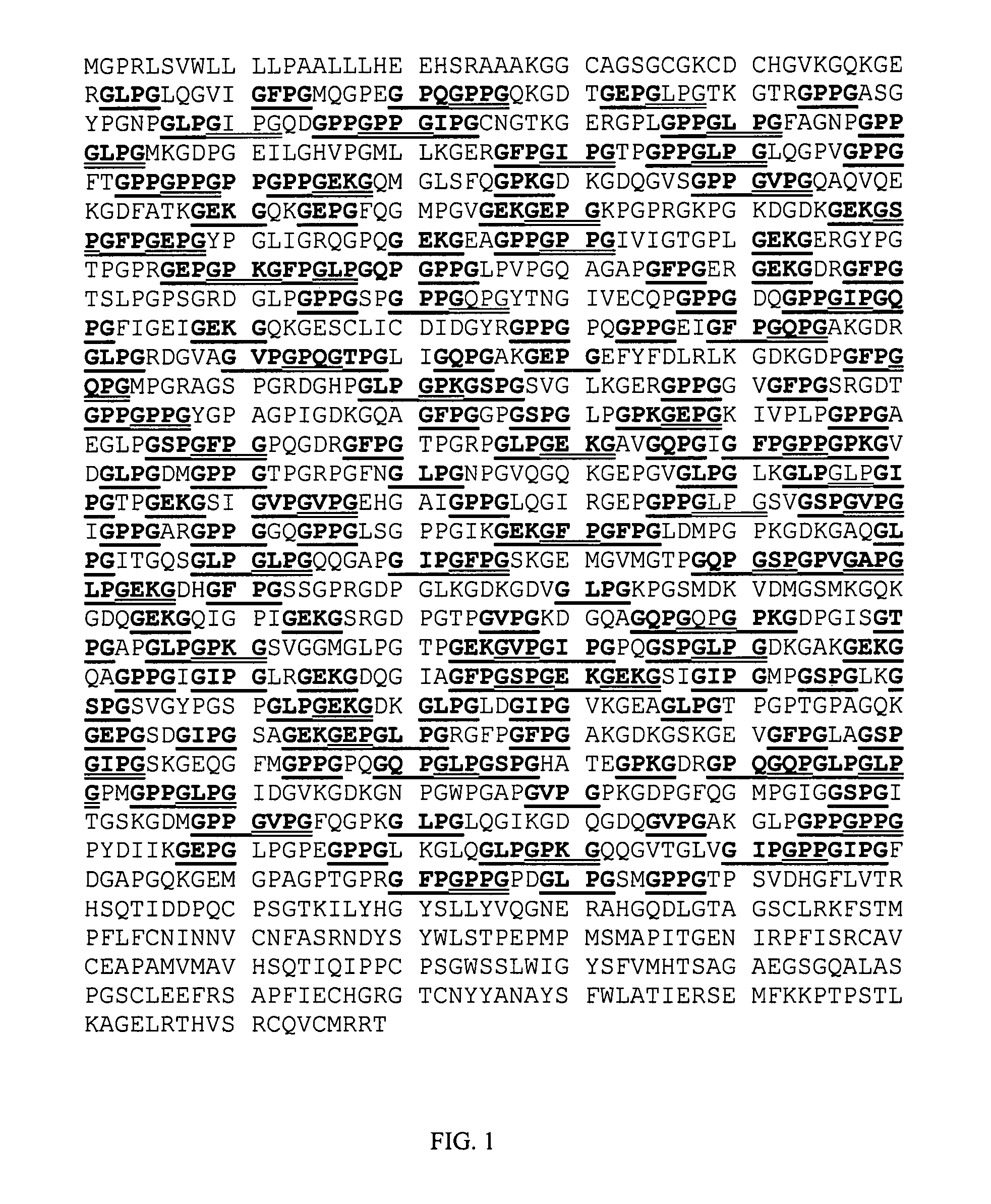 Peptide fragments for inducing synthesis of extracellular matrix proteins