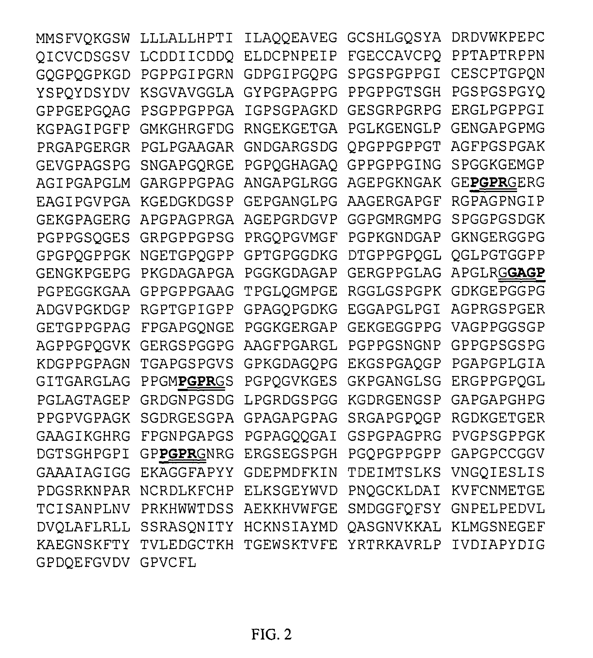 Peptide fragments for inducing synthesis of extracellular matrix proteins