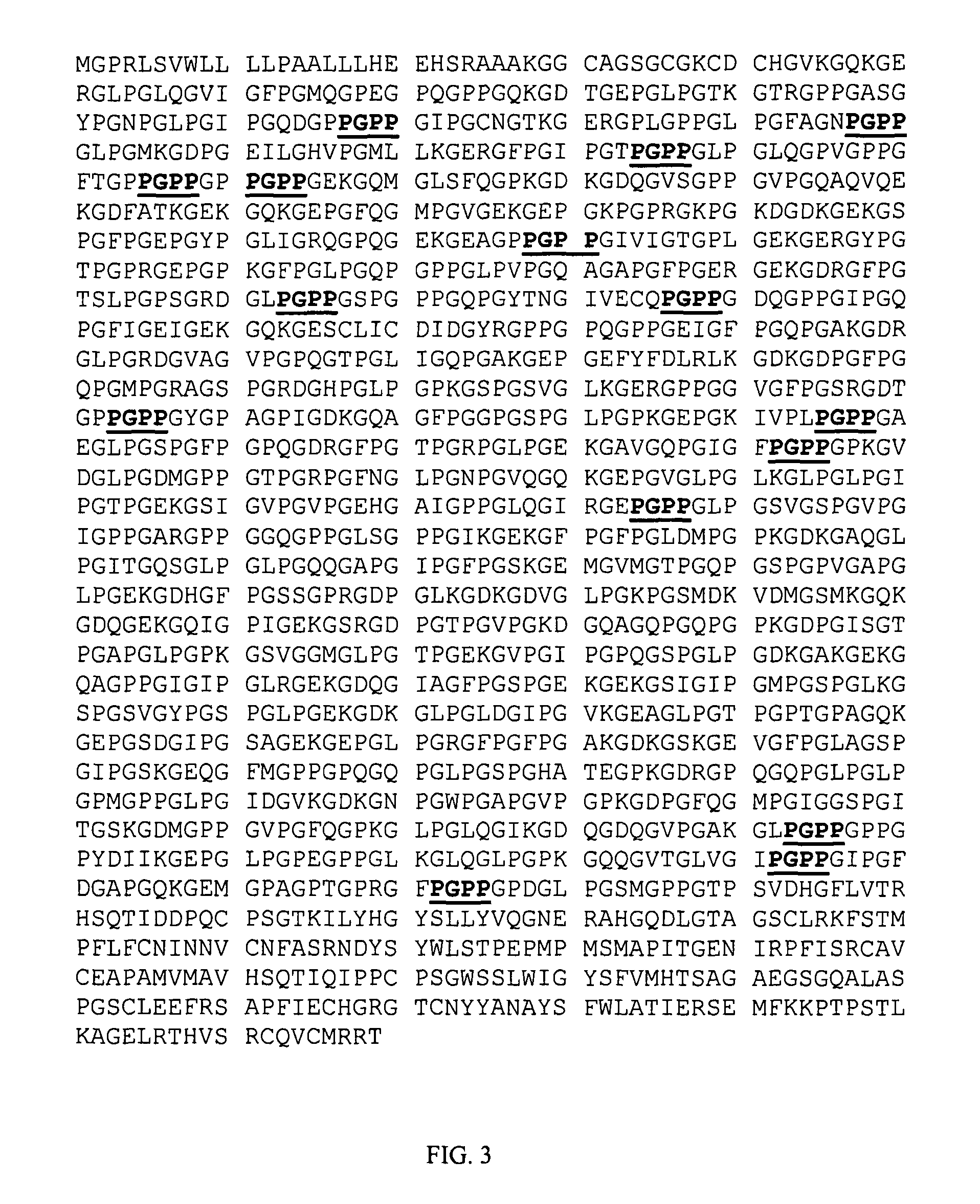 Peptide fragments for inducing synthesis of extracellular matrix proteins