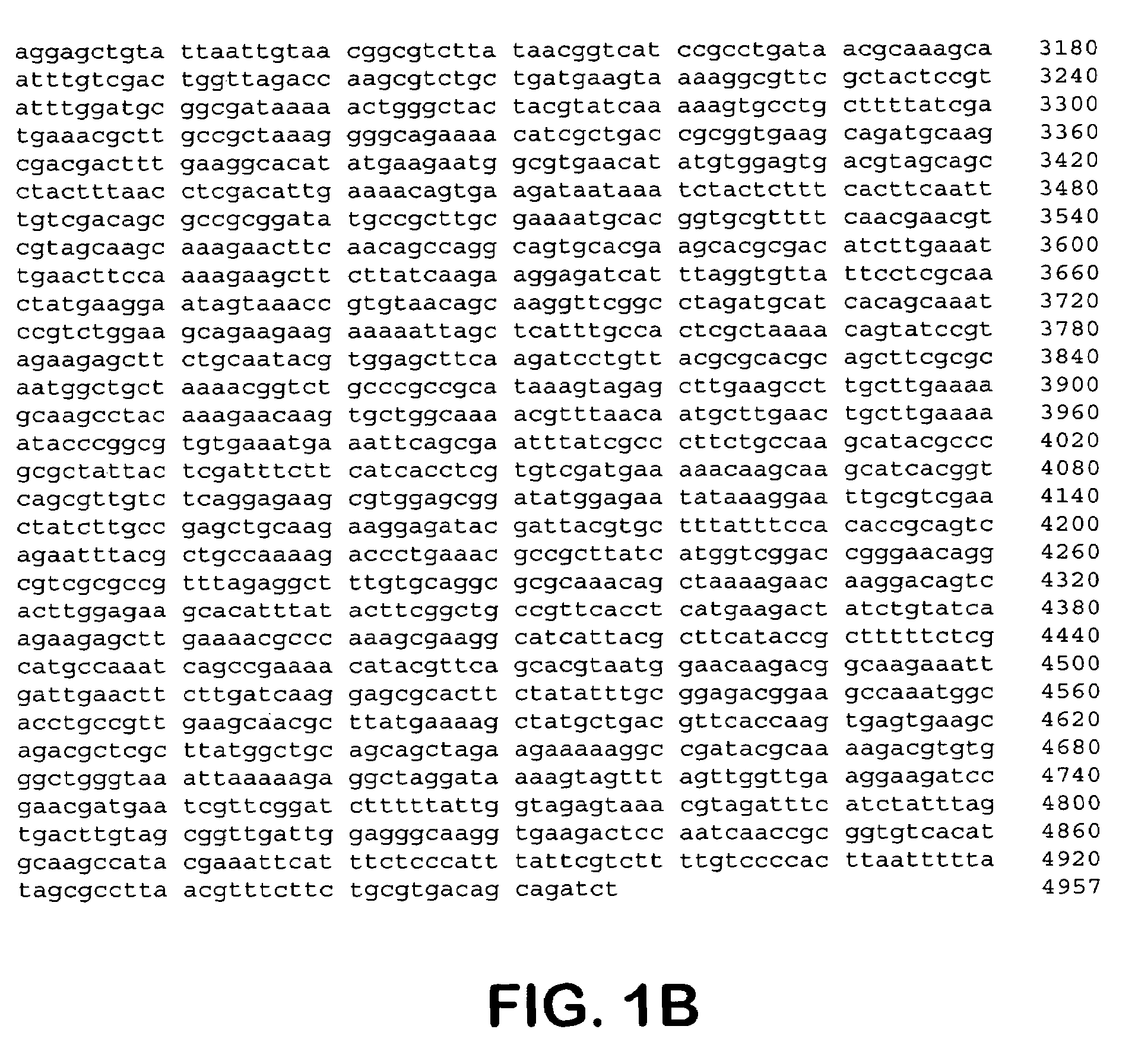 Peroxide-driven cytochrome P450 oxygenase variants