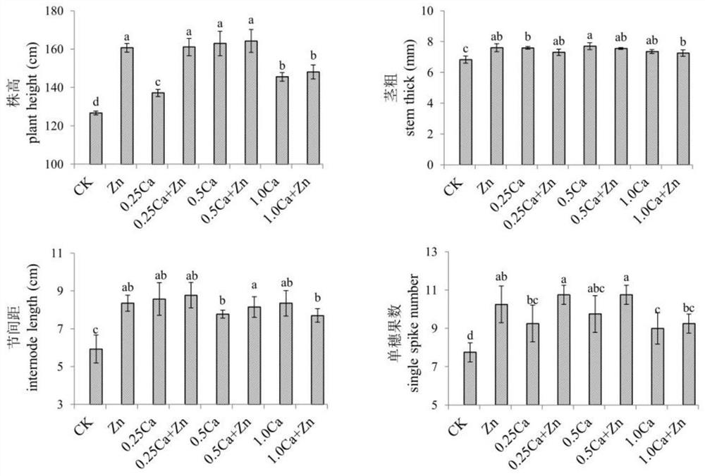 Planting method for promoting tomato growth and development and fruit quality based on combined application of calcium and zinc