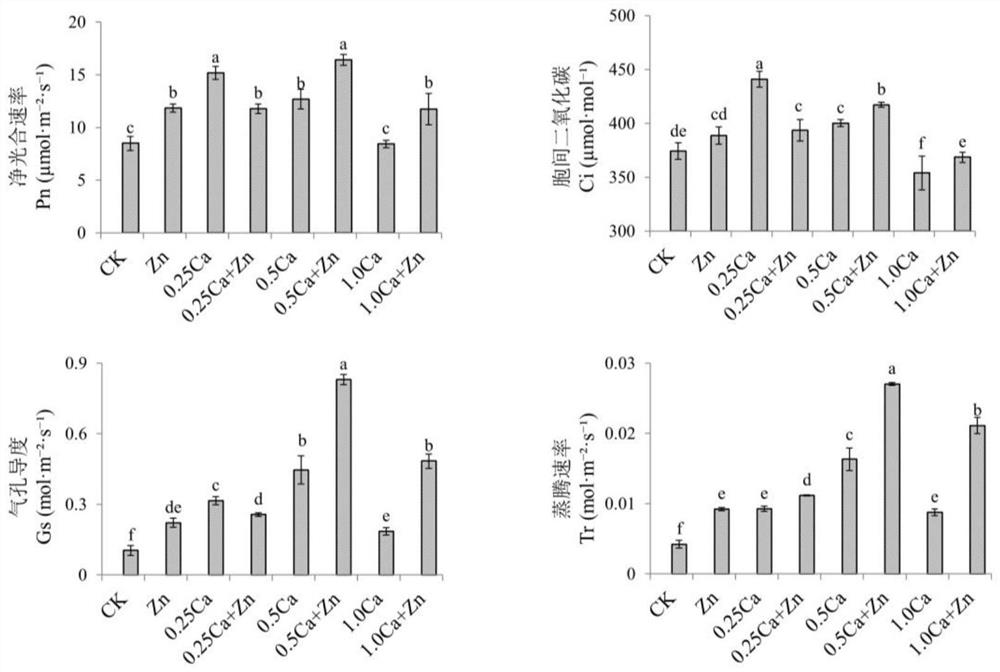 Planting method for promoting tomato growth and development and fruit quality based on combined application of calcium and zinc