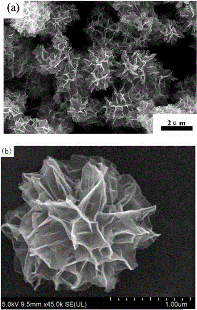 Flowerlike alpha-FeOOH porous micro-nanospheres and preparation method thereof