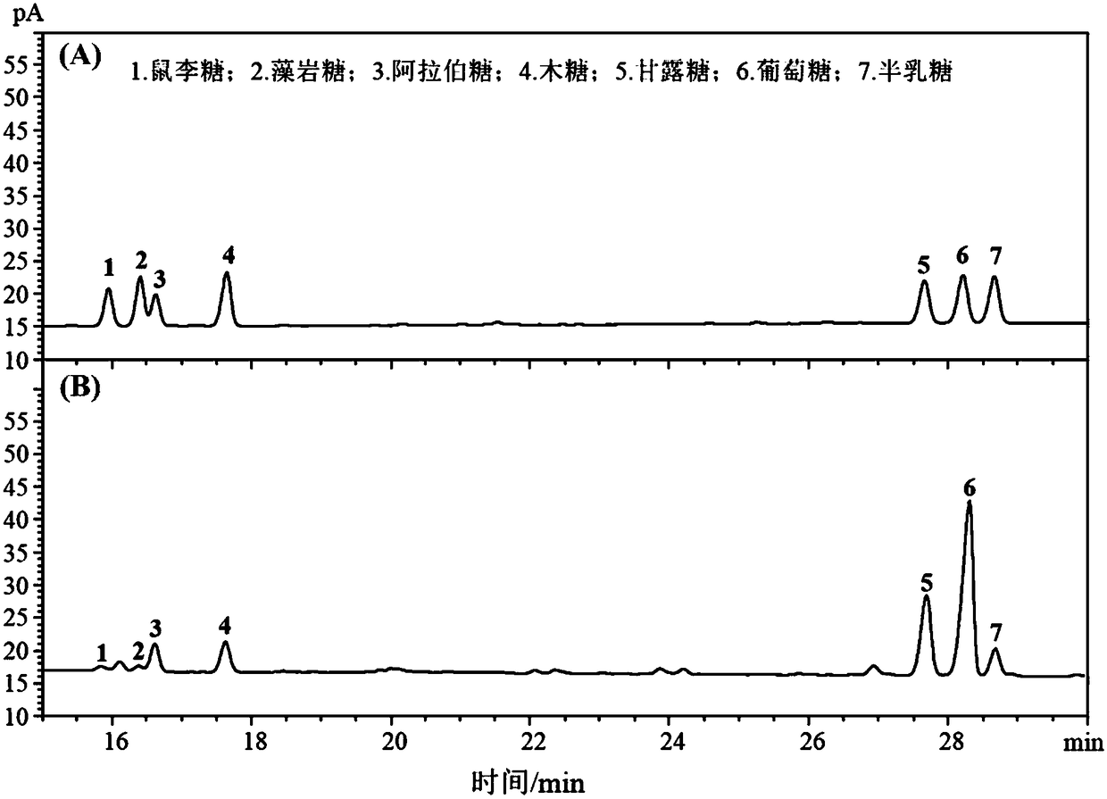 Lentinan oligosaccharide having excellent anti-oxidation activity, and preparation method thereof