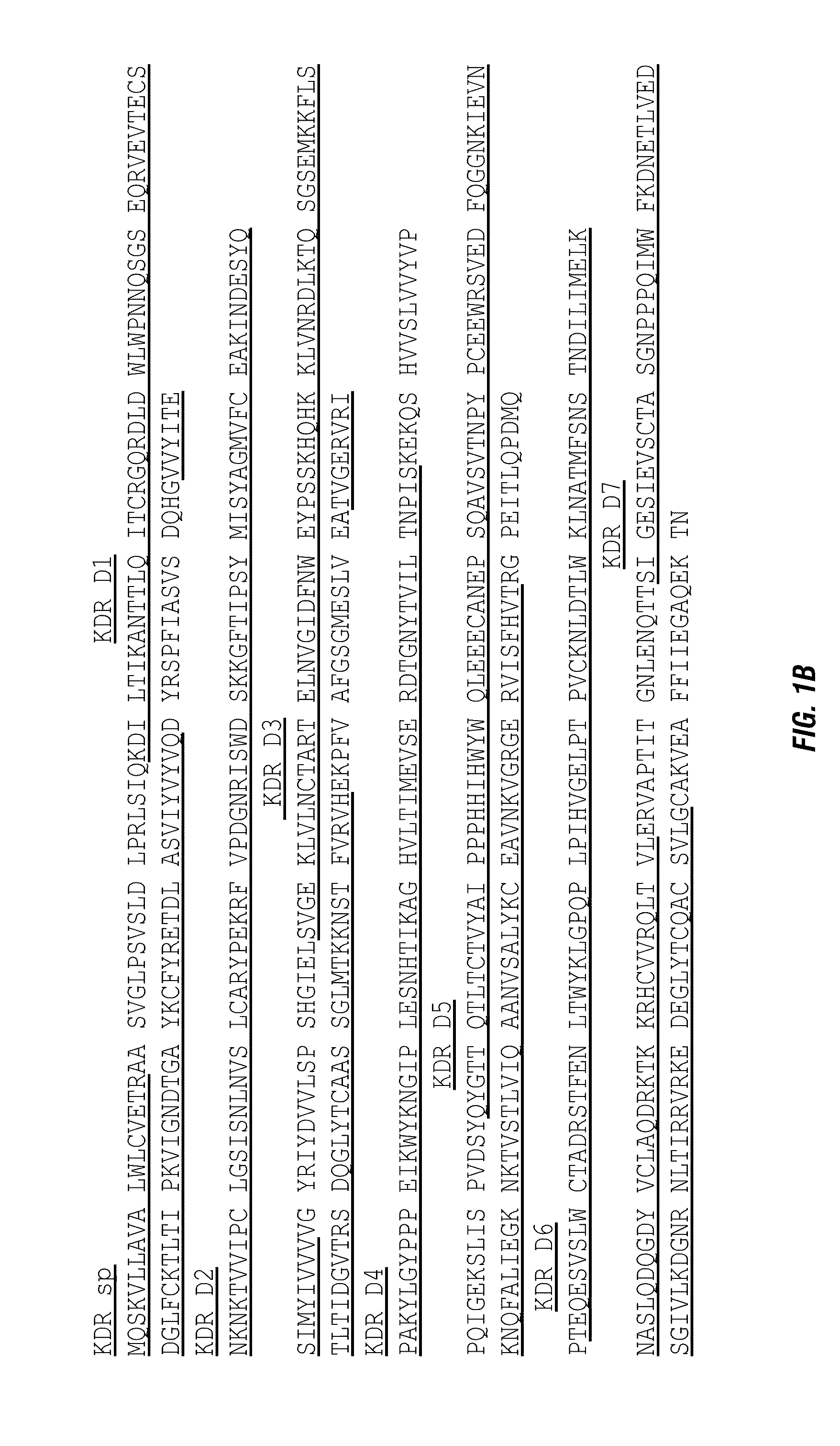 Anti-angiogenesis fusion proteins