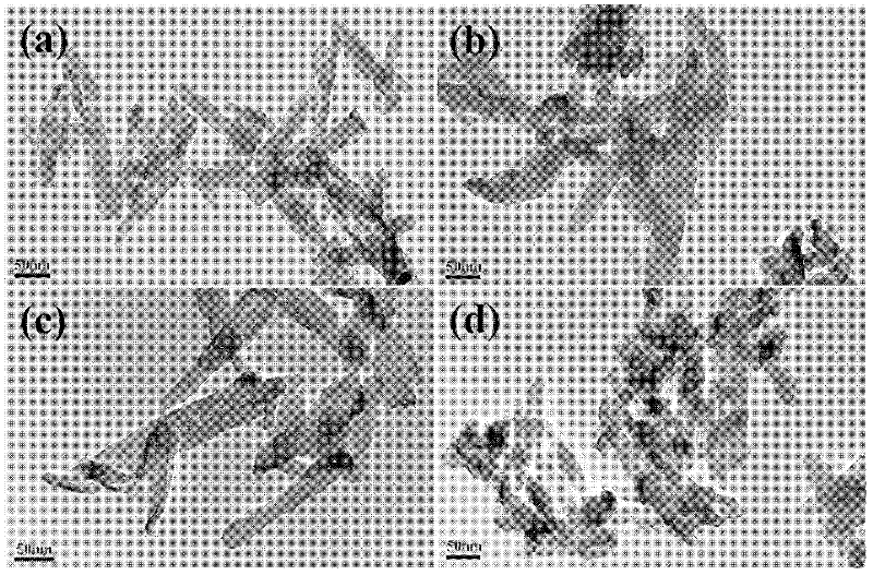 Surface modification method of nanometer hydroxyapatite mediated by APTS