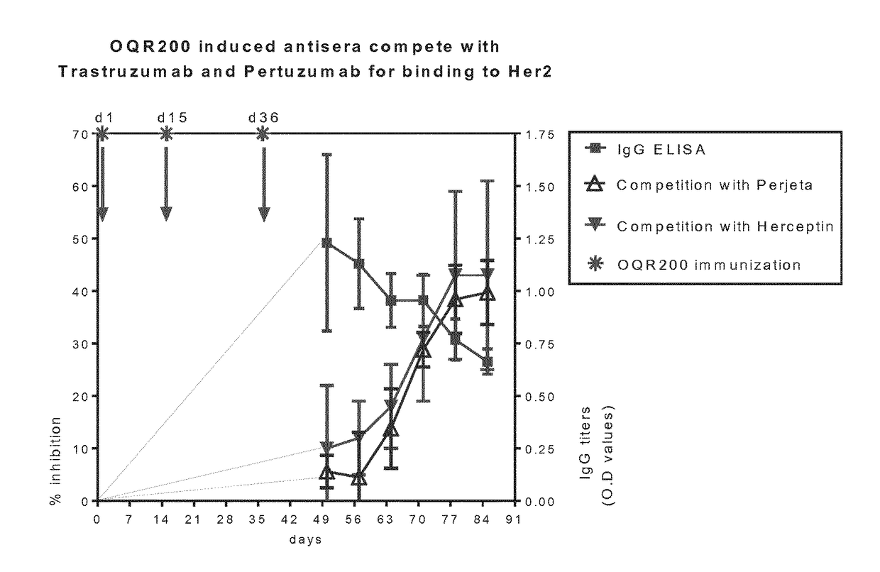 Her2/neu immunogenic composition