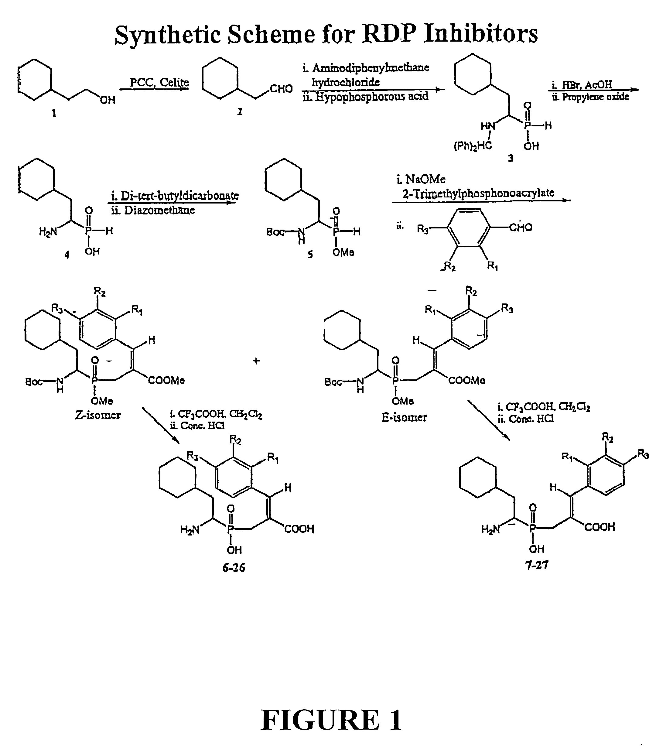 Design and synthesis of renal dipeptidase inhibitors