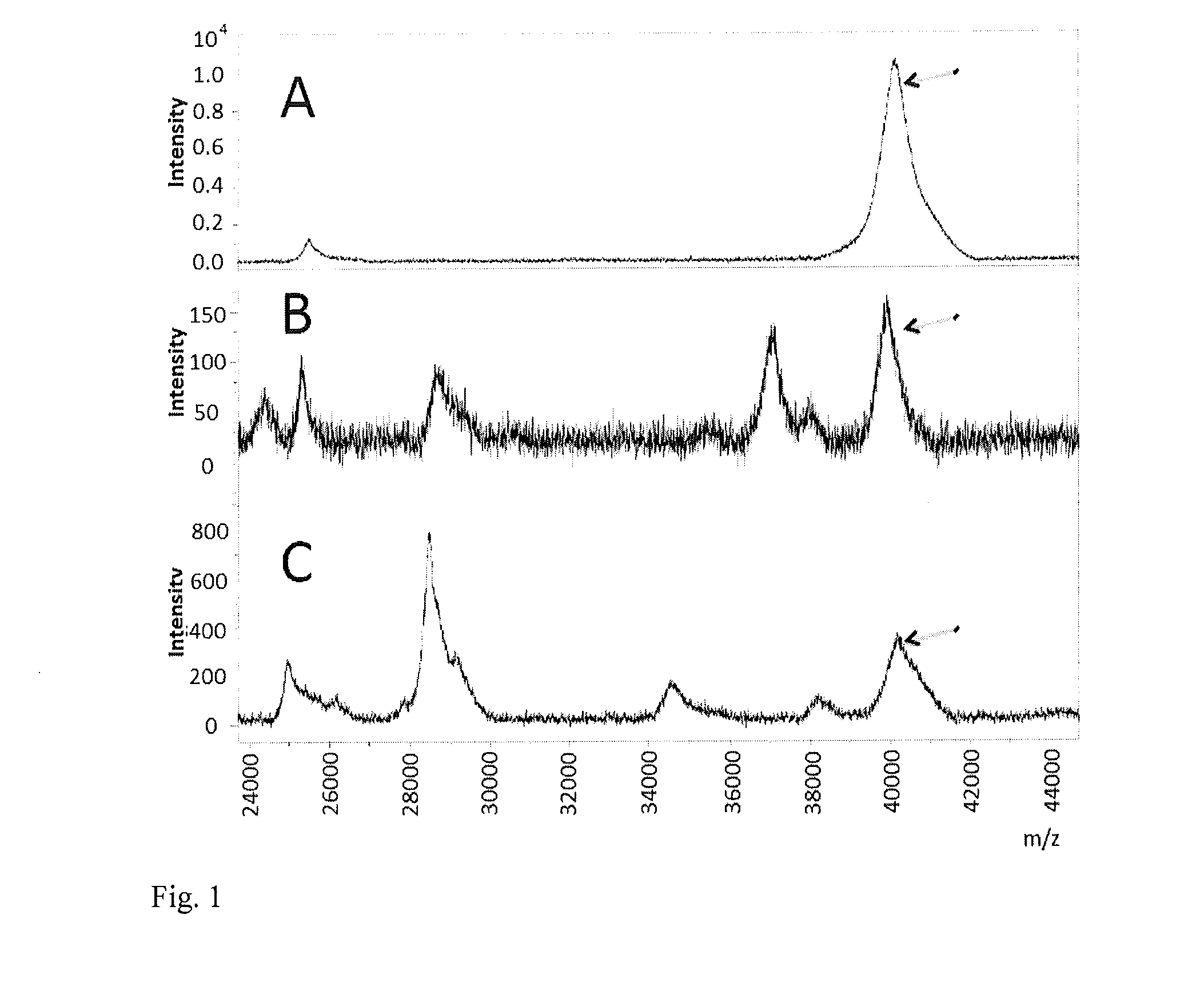 Method of detection of gram-negative bacteria periplasmic space and cell wall outer membrane proteins by mass spectrometry