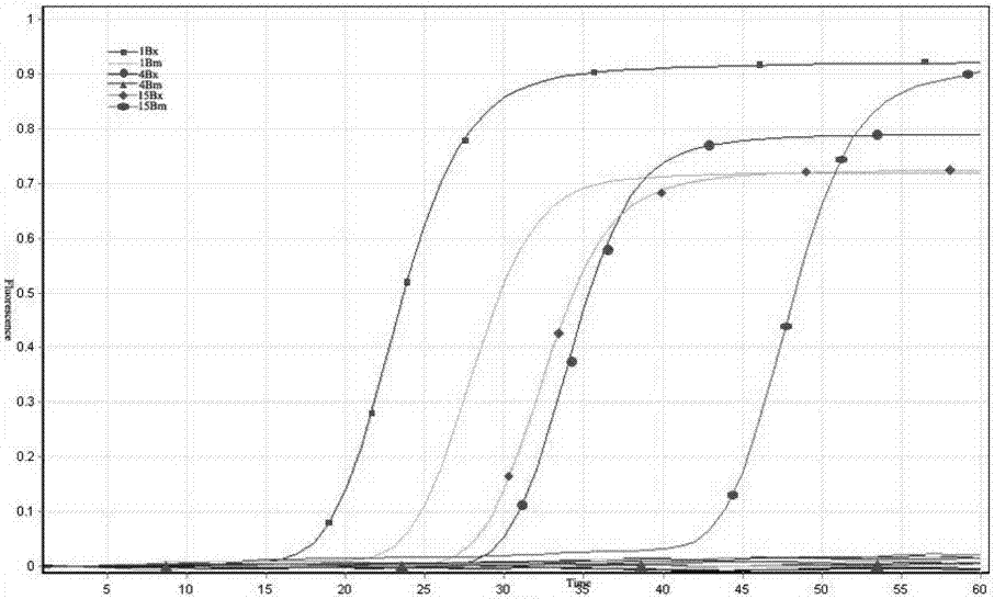 Method for detecting bursaphelenchus xylophilus by loop-mediated isothermal amplification reaction