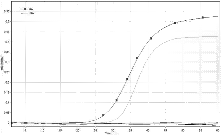 Method for detecting bursaphelenchus xylophilus by loop-mediated isothermal amplification reaction