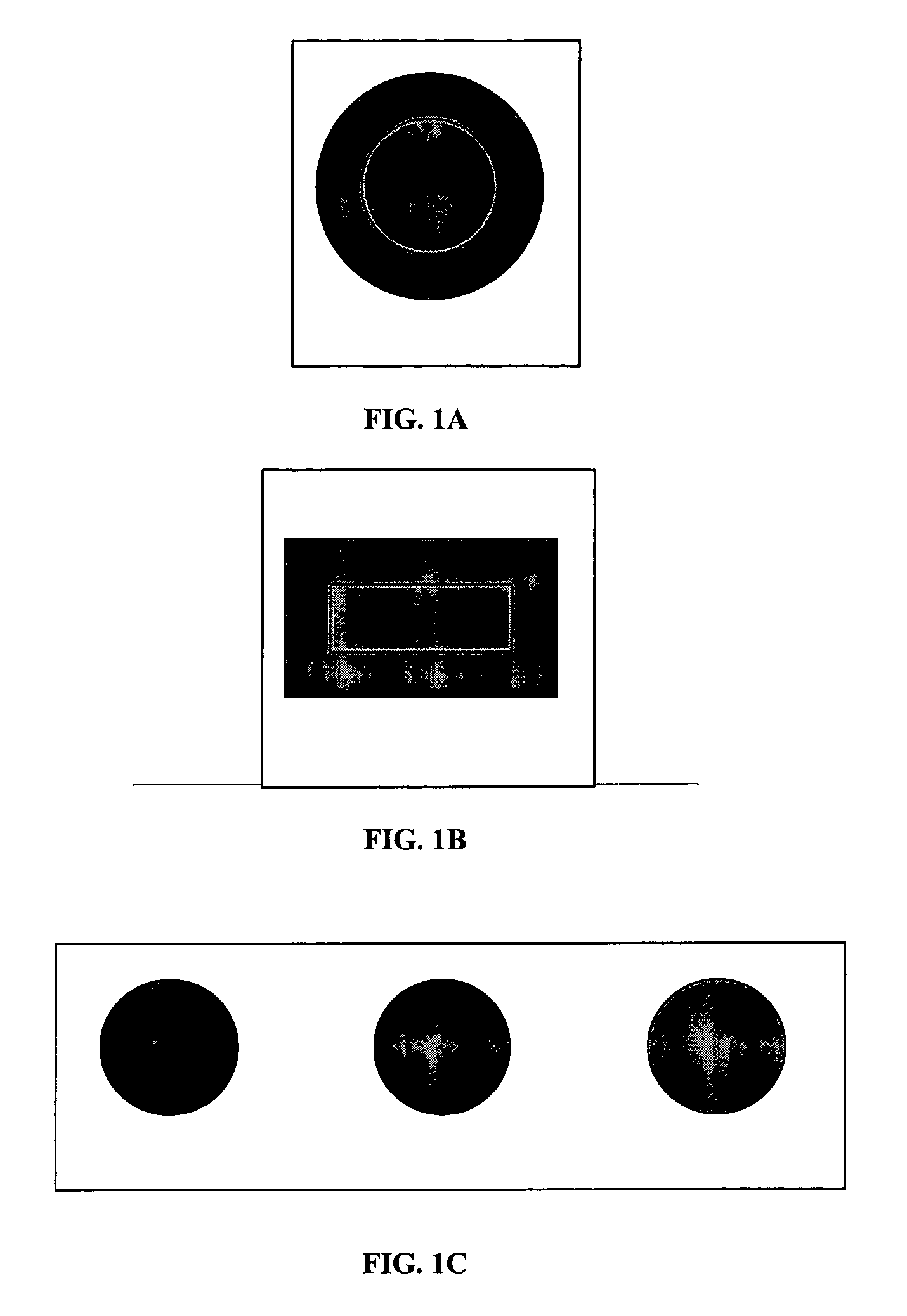 Food quality indicator