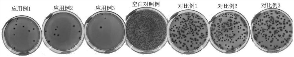 Helianthus tuberosus root extract and bacteriostatic activity application